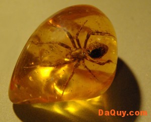 ho phach amber 300x243 Hổ Phách (Amber) và đặc tính, tác dụng ý học (theo dân gian)